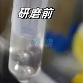 必看！全自動(dòng)浸入式液氮冷凍研磨儀高效研磨小鼠肝臟提取DNA實(shí)操指南