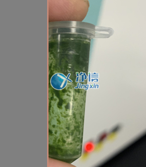 冷凍研磨儀在對(duì)甘蔗葉片提取DNA實(shí)驗(yàn)中研磨樣本效果如何？