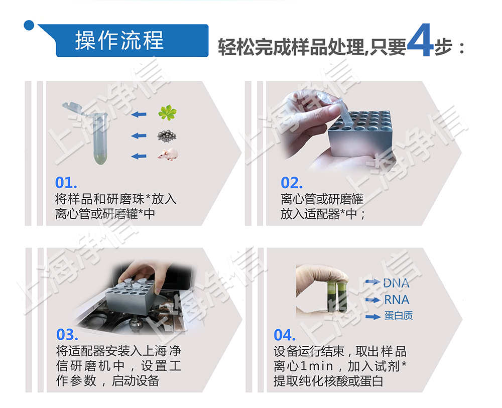 上海凈信組織研磨機(jī)助理中國(guó)海關(guān)抗擊非洲豬瘟！！！
