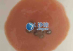 實驗室常用研磨儀器是什么？組織研磨儀常用嗎？